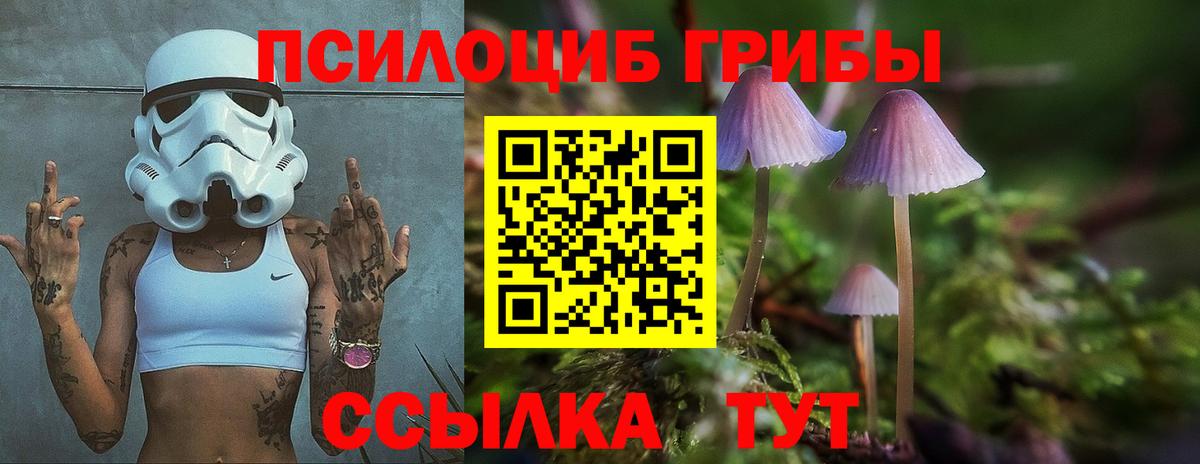 Сертолово  Галлюциногенные грибы мухоморы  Галлюциногенные грибы Psilocybe  Вход с VPN 
